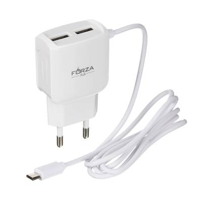 Зарядное устройство FORZA micro-USB, 2 USB, 220В, 916-065